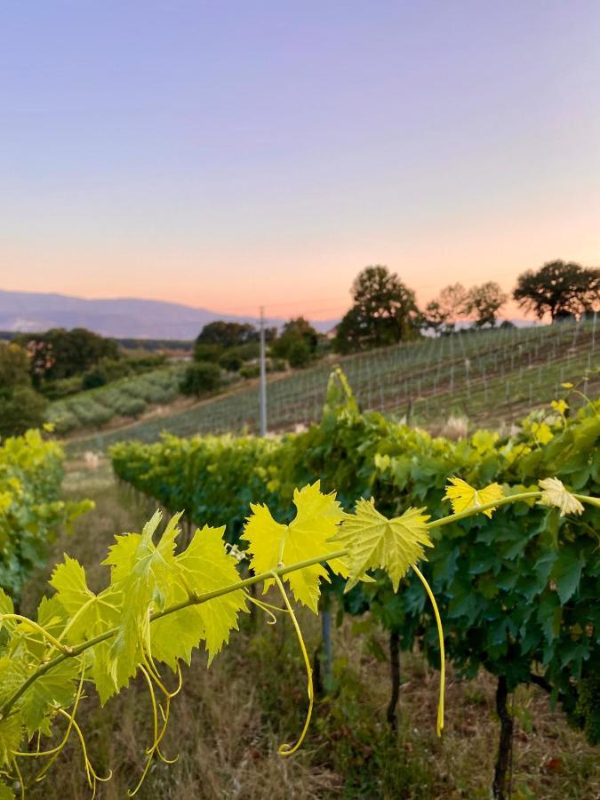 Donna Vittori - Borgo Agricolo Lejlighedshotel Paliano Eksteriør billede
