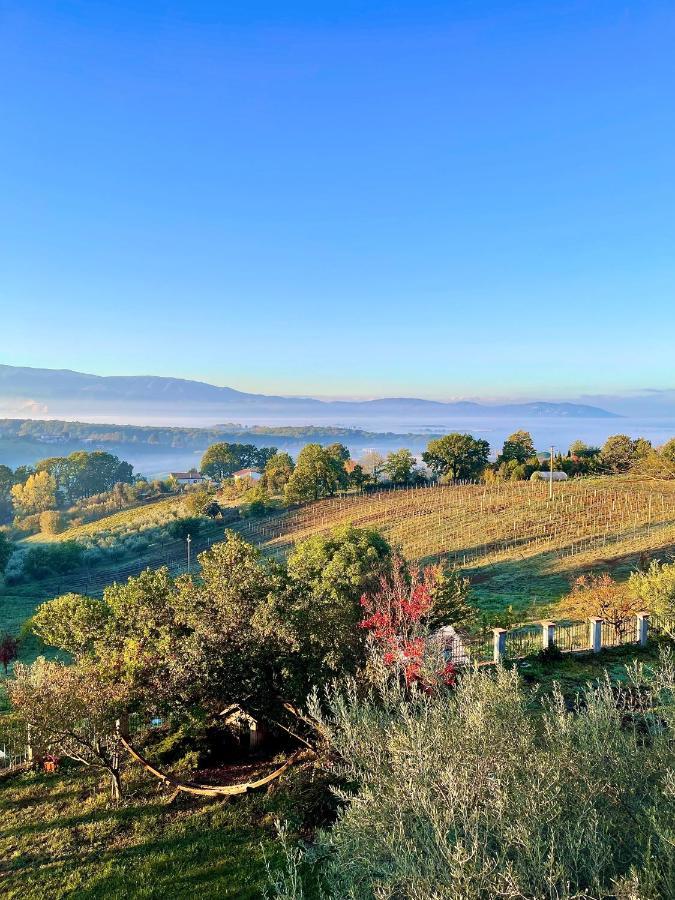 Donna Vittori - Borgo Agricolo Lejlighedshotel Paliano Eksteriør billede