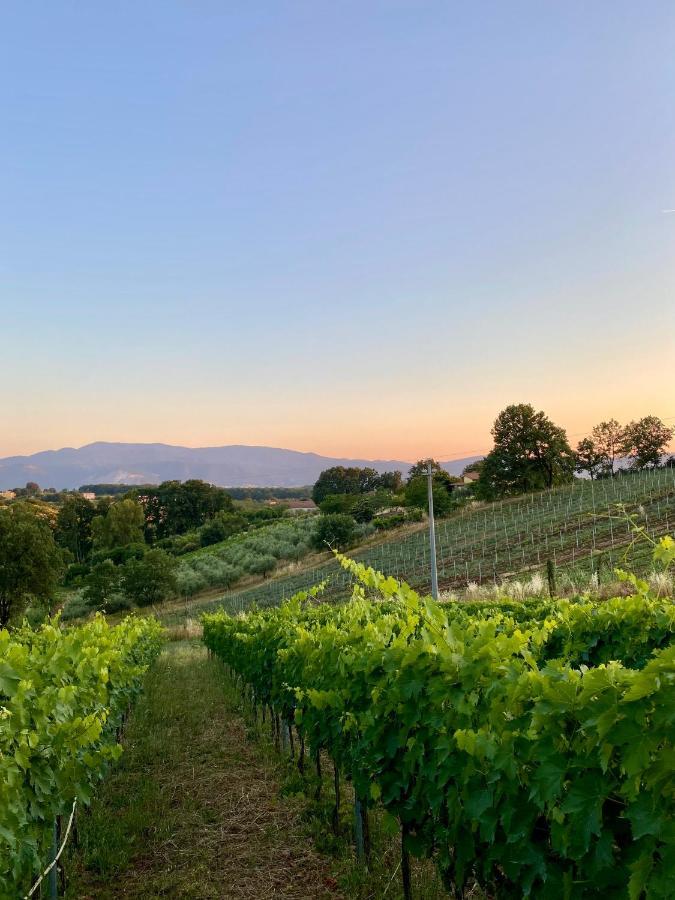 Donna Vittori - Borgo Agricolo Lejlighedshotel Paliano Eksteriør billede