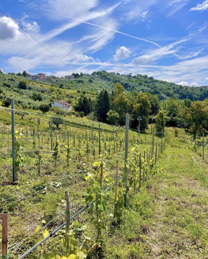 Donna Vittori - Borgo Agricolo Lejlighedshotel Paliano Eksteriør billede