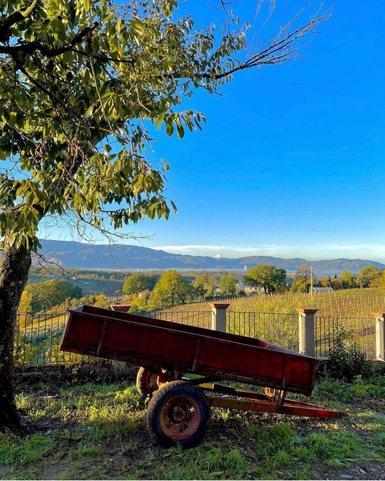 Donna Vittori - Borgo Agricolo Lejlighedshotel Paliano Eksteriør billede