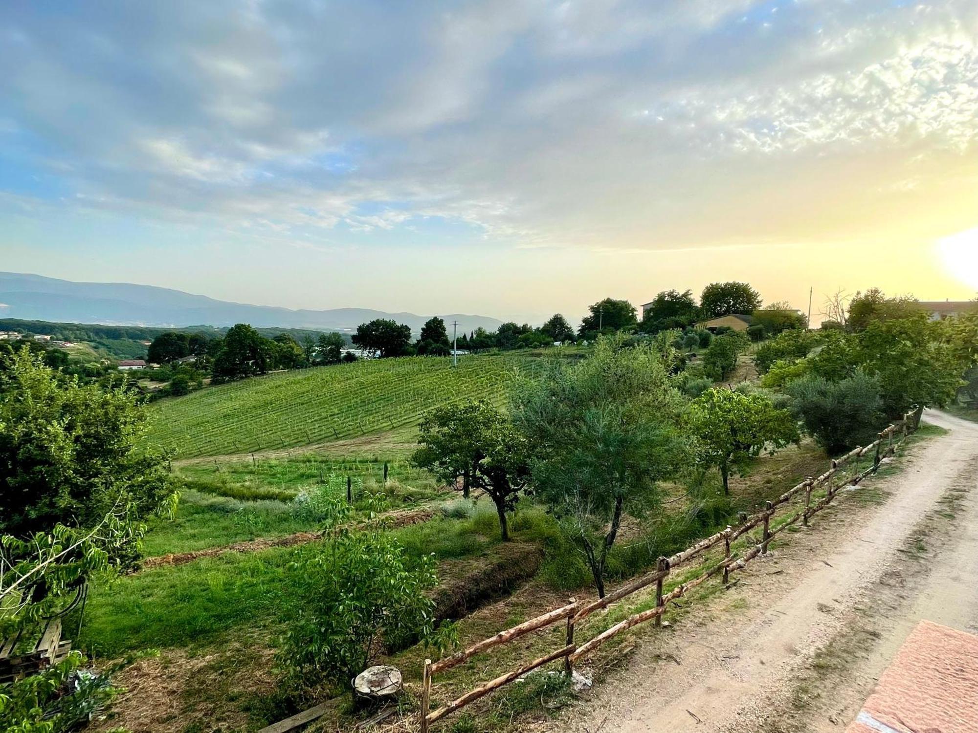 Donna Vittori - Borgo Agricolo Lejlighedshotel Paliano Eksteriør billede