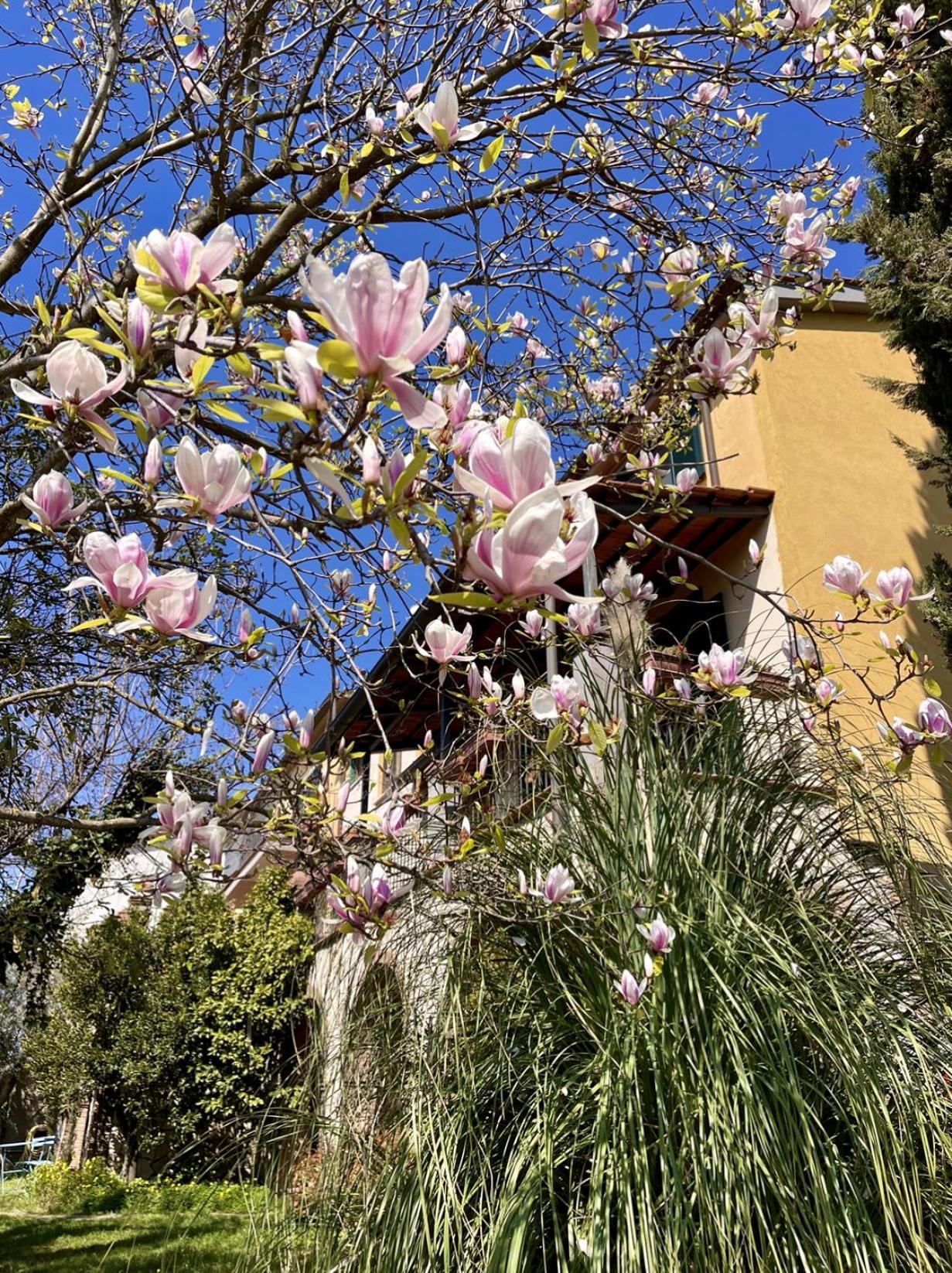 Donna Vittori - Borgo Agricolo Lejlighedshotel Paliano Eksteriør billede